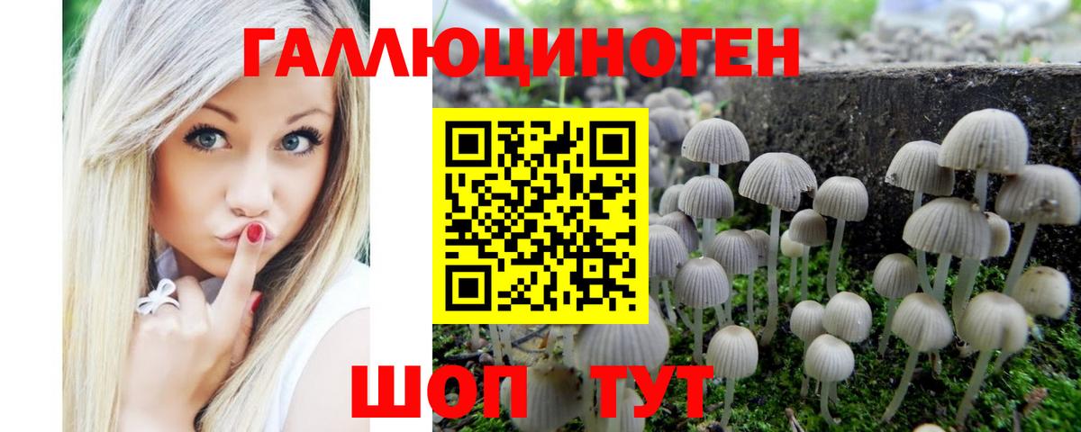 где купить наркоту  Вход с VPN  Мариинск  Псилоцибиновые грибы MAGIC MUSHROOMS 